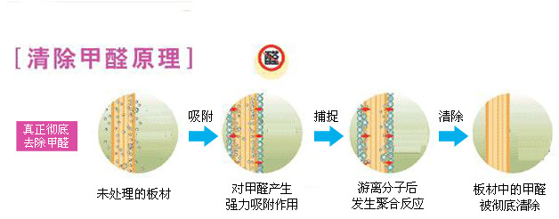 清除甲醛化合作用