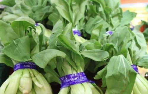 蔬菜捆绑胶带