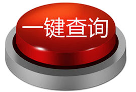 红色一键查询按钮