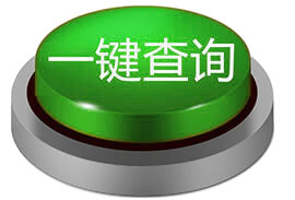 绿色一键查询按钮